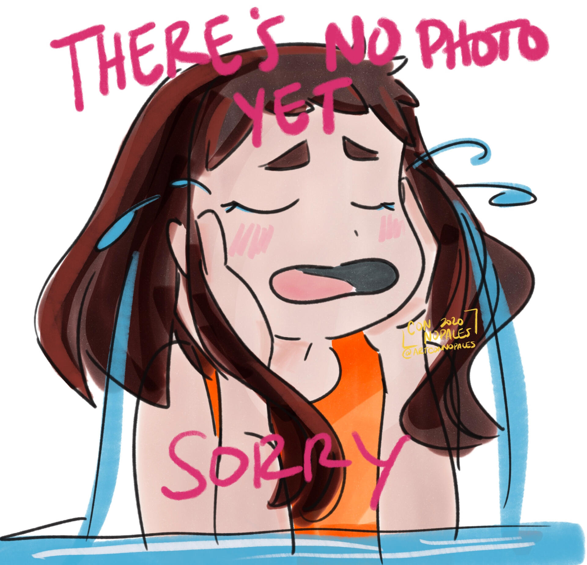 Community Safety Section